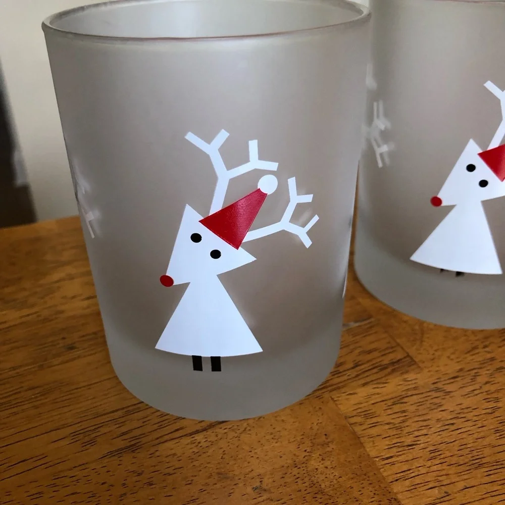 NWT 4 frosted glasses- Crate&Barrel